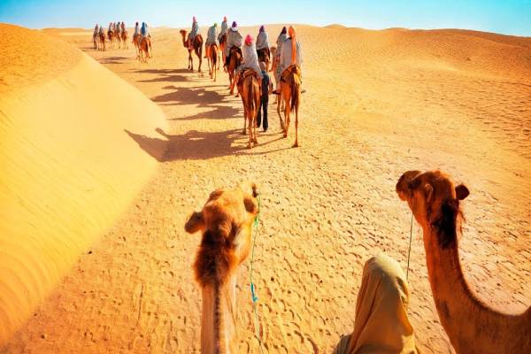 Places to visit in Jaisalmer
